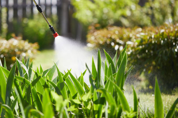 24/7 Emergency Termite Control experts in Jonesboro, LA
