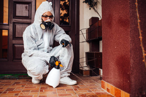 Reliable Termite Control contractor in Jonesboro, LA by Nex Pest Control