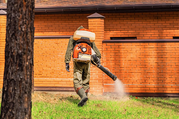 Trusted Rodent Control service in Jonesboro, LA - Nex Pest Control